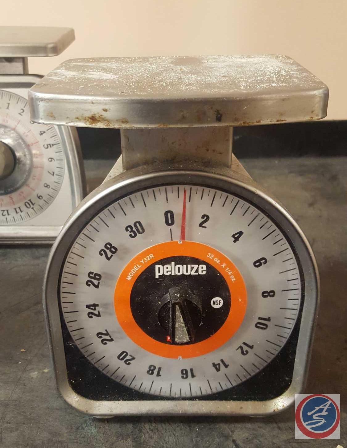 (2) Rubbermaid Pelouze Scales Model No Y32R, Taylor Scale Model TS25KL