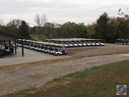 2011 Yamaha Gas Powered Golf Cart Model No. 218