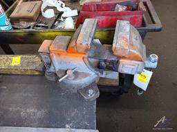 Buffalo Bench Vise