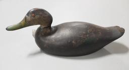 Mason decoy Black Duck