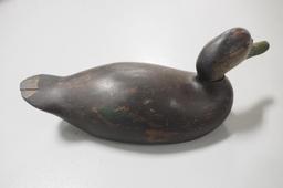Mason decoy Black Duck