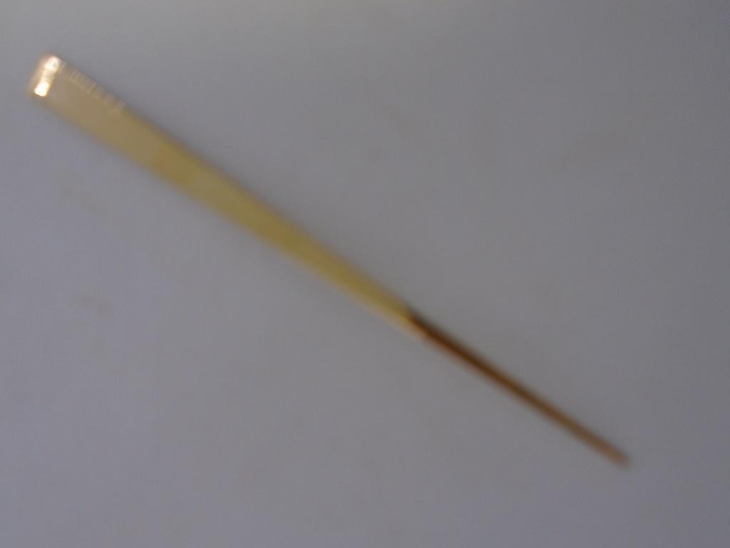 SOLID 14K GOLD TOOTHPICK WITH CASE TOOTH PICK