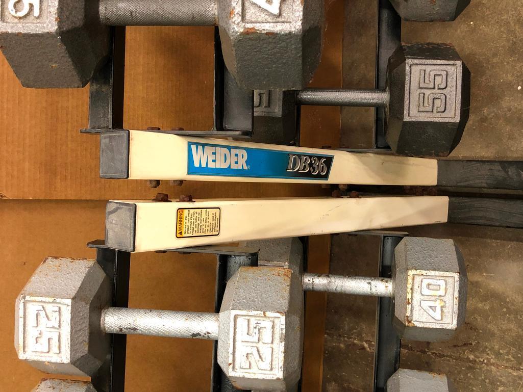 Two Weider DB36 Dumbell Racks with 15-65lb Dumbells and a Golds Gym Adjustable Bench