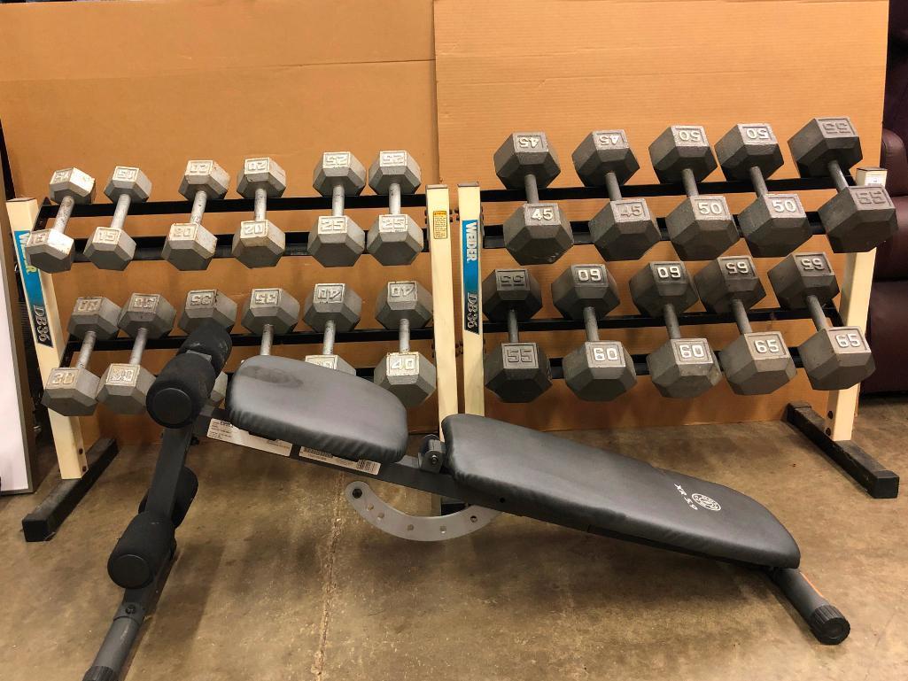 Two Weider DB36 Dumbell Racks with 15-65lb Dumbells and a Golds Gym Adjustable Bench