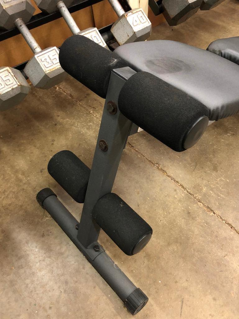Two Weider DB36 Dumbell Racks with 15-65lb Dumbells and a Golds Gym Adjustable Bench