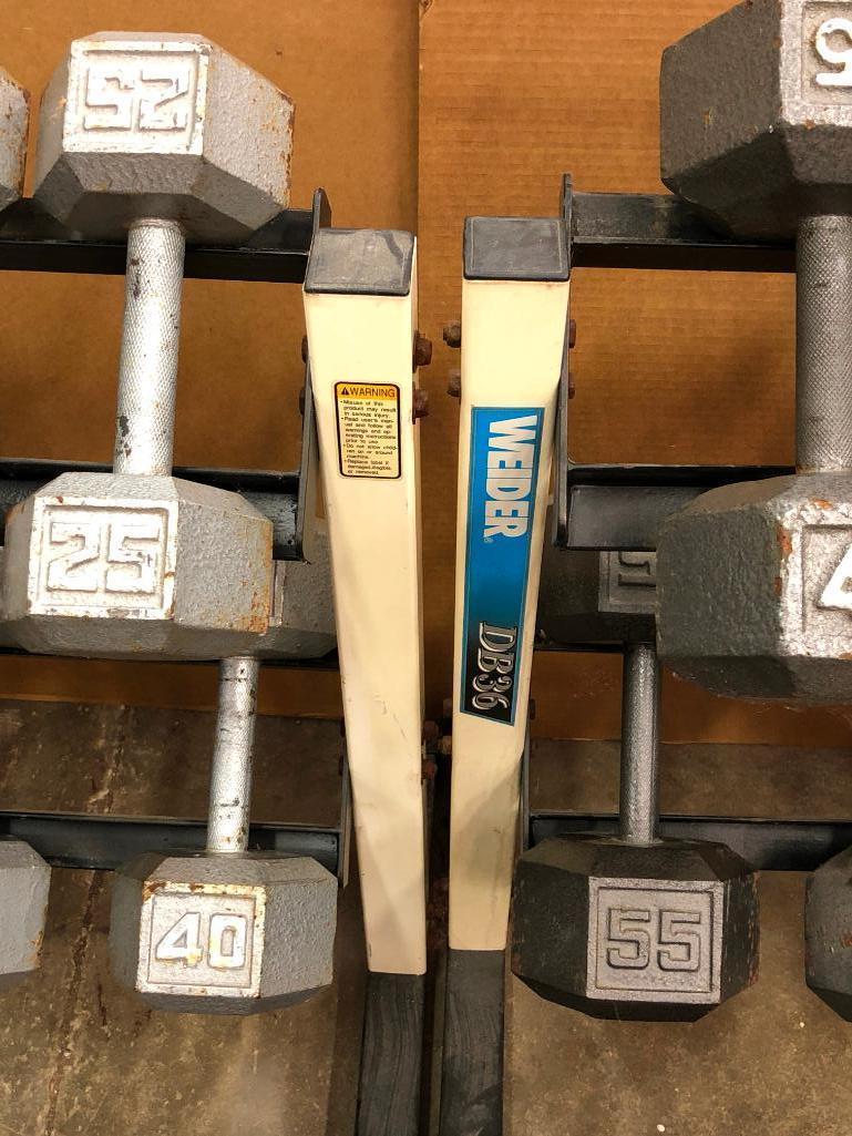 Two Weider DB36 Dumbell Racks with 15-65lb Dumbells and a Golds Gym Adjustable Bench