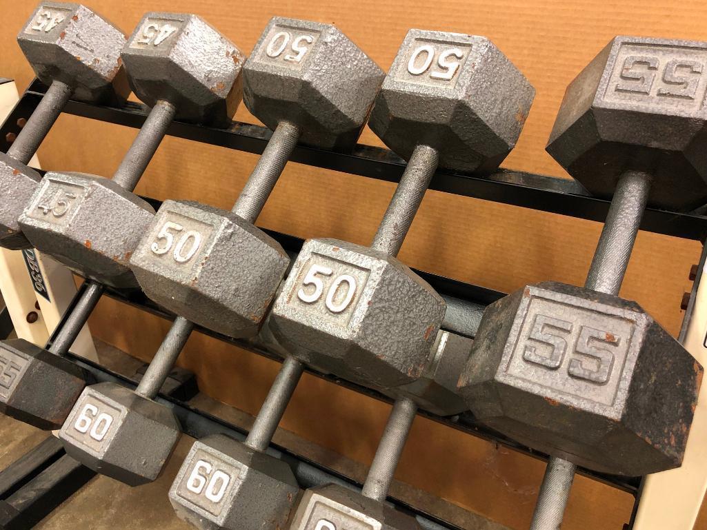 Two Weider DB36 Dumbell Racks with 15-65lb Dumbells and a Golds Gym Adjustable Bench