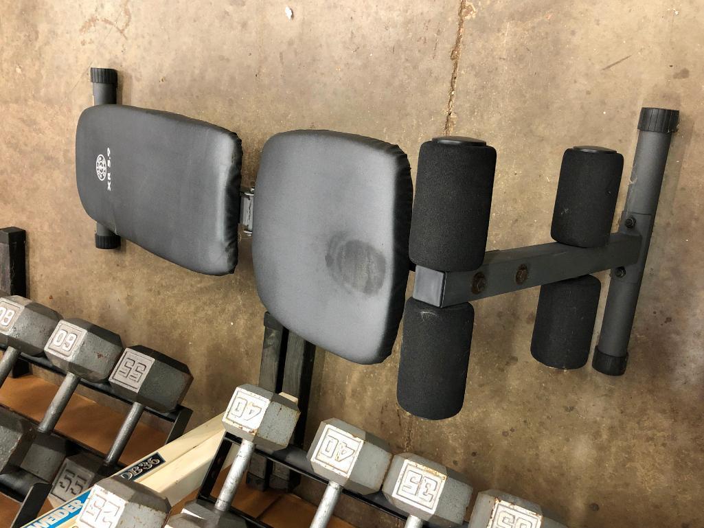 Two Weider DB36 Dumbell Racks with 15-65lb Dumbells and a Golds Gym Adjustable Bench