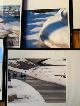 (7) Framed Photographs By Jacqui Theobald