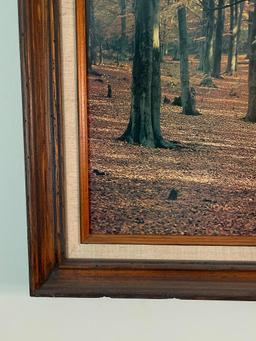 Framed Nature Print