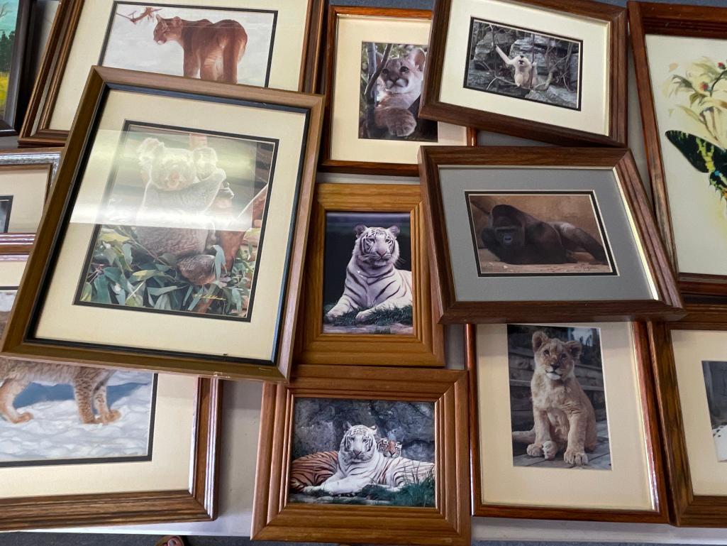 Picture Frame Lot