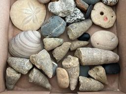 Lot of Rocks and Fossils