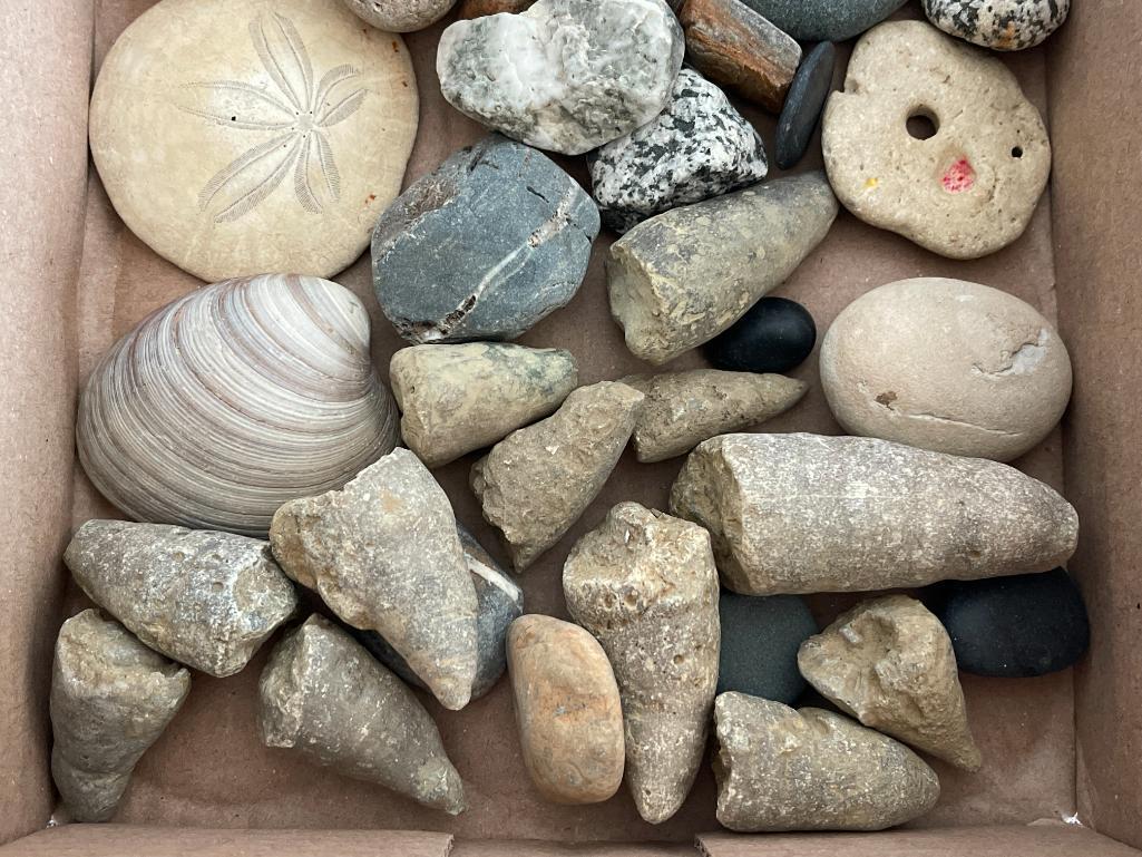 Lot of Rocks and Fossils