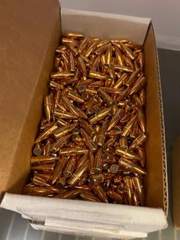 Group of 308 Bullets Only