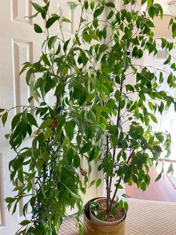 Pair of Artificial Trees