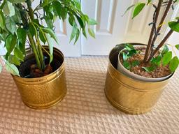 Pair of Artificial Trees