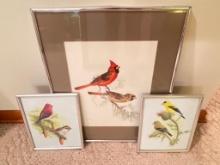 Group of 3 Framed Bird Prints
