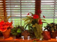 Decor Lot