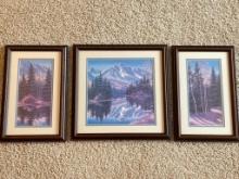 Series of Framed Prints - Artist Signed and Numbered
