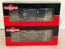 Lot of 2 Inter Mountain Train Cars