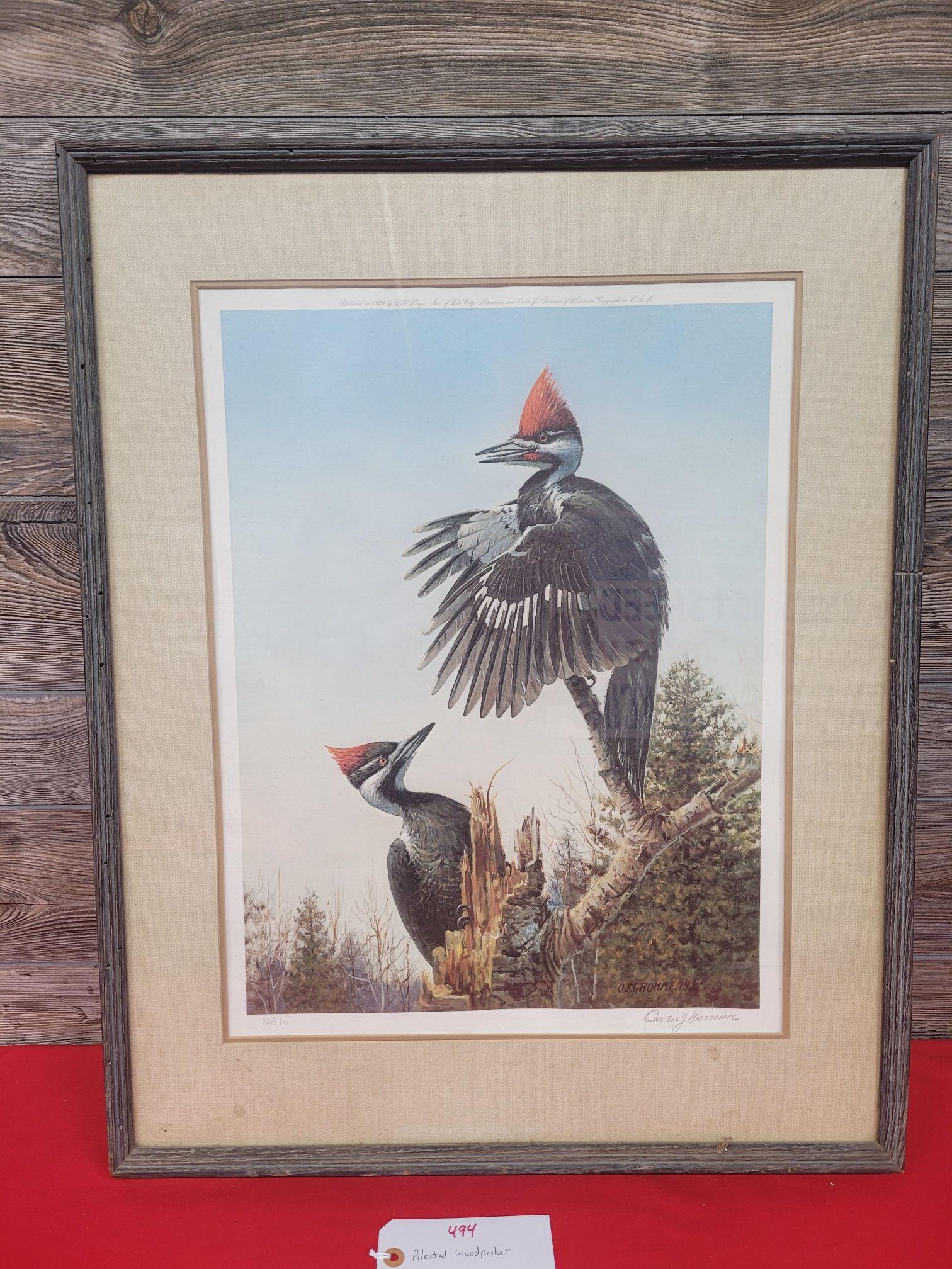 Gromme Pileated Woodpecker Framed Print