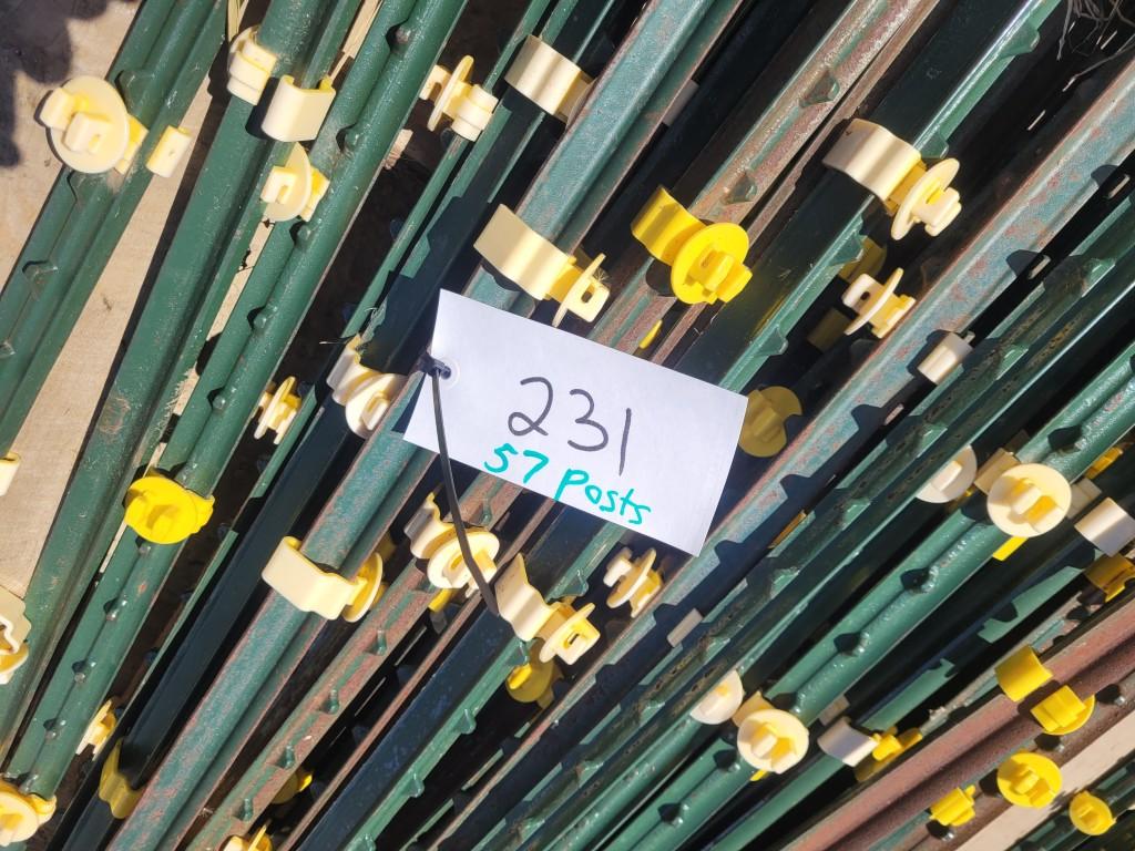 T-Posts