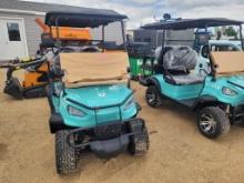 RC Car Industry Electric Golf Cart