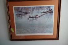 WOOD DUCK PRINT BY ARTS LIMITED INC FRAMED UNDERGLASS