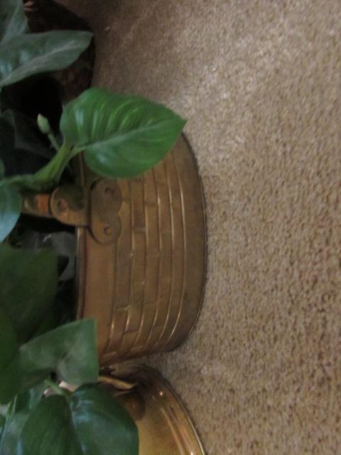 (2) Pieces of Spinner Luggage