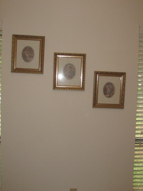 (3) Prints in Gold Frames--12" x 14" Each