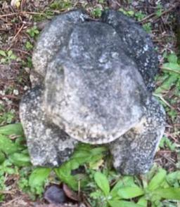 (3) Yard Ornaments: Concrete Frog, Concrete Turtle