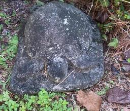 (3) Yard Ornaments: Concrete Frog, Concrete Turtle