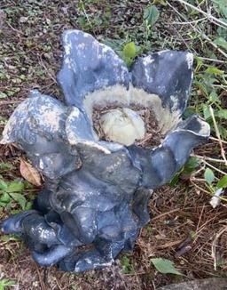 (3) Yard Ornaments: Concrete Frog, Concrete Turtle