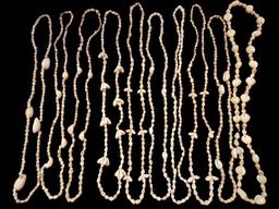 (10) Shell Necklaces