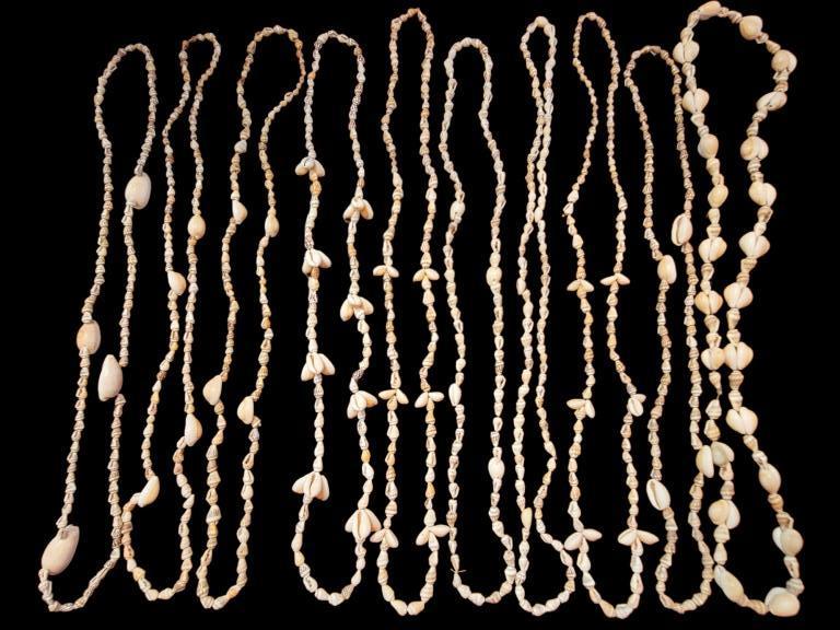 (10) Shell Necklaces