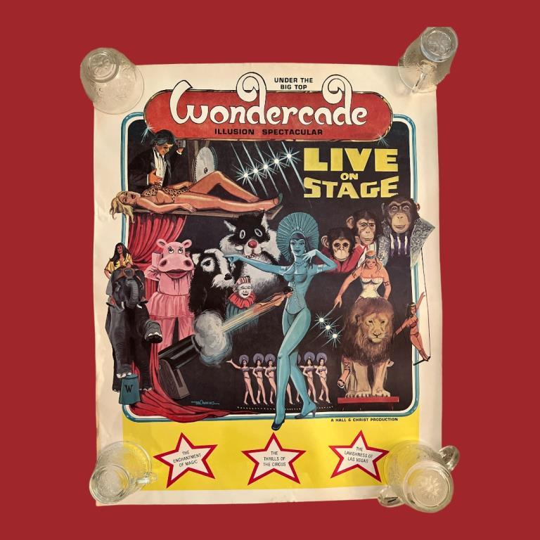 (13) Wondercade Illusion Spectacular