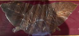 Framed Tobacco Leaf - 36” x 16”