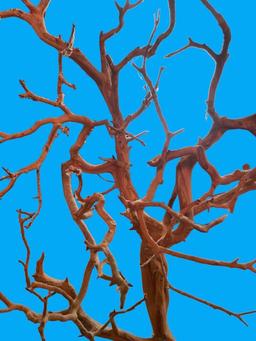 Decorative Tree Branch on Pedestal