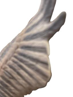 Jonathon Byron Limited Edition Eagle Figurine
