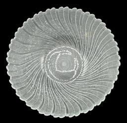 Arcoroc Sea Breeze Swirl Salad Bowl, (12)