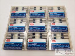Approx 90 rounds of 9mm shotshells