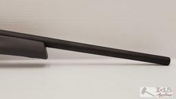 Remington 597 .22lr Semi-Auto Rifle with Scope