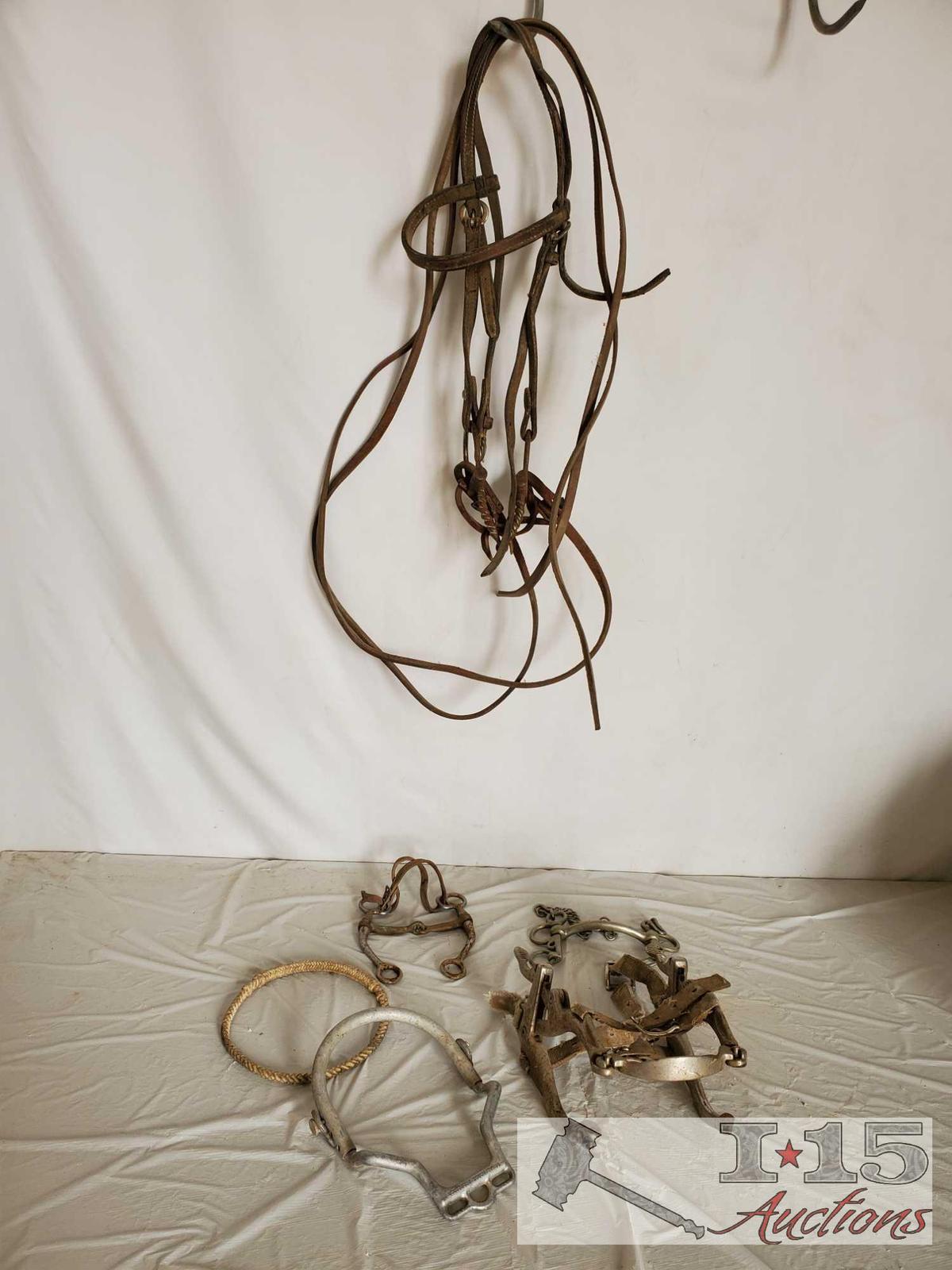 Bridle, Bits, Rawhide Nose Band, Dental Tool and a Donal Horse Perfecter