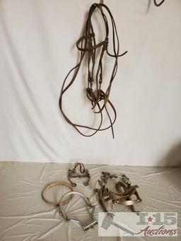 Bridle, Bits, Rawhide Nose Band, Dental Tool and a Donal Horse Perfecter