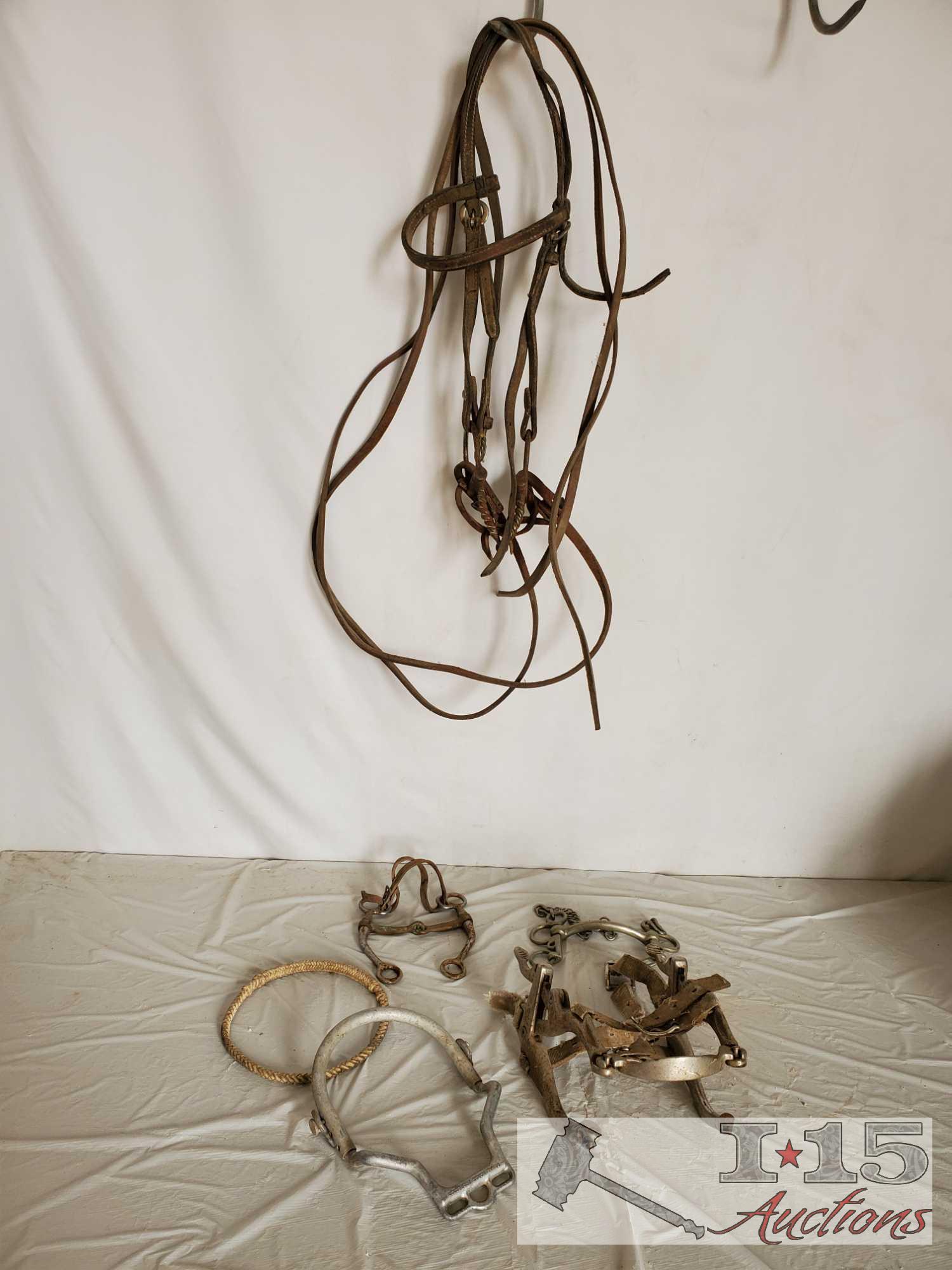 Bridle, Bits, Rawhide Nose Band, Dental Tool and a Donal Horse Perfecter