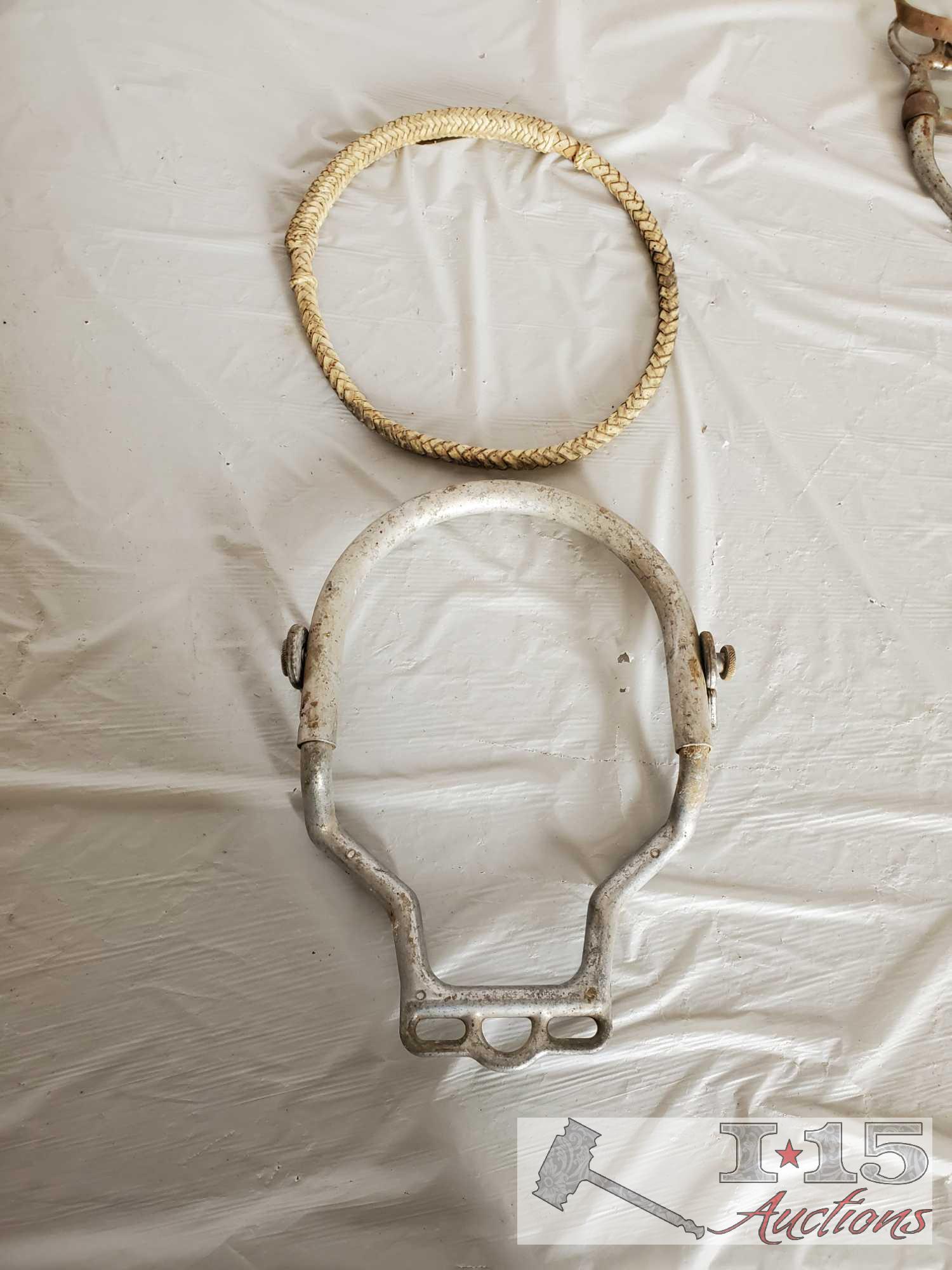 Bridle, Bits, Rawhide Nose Band, Dental Tool and a Donal Horse Perfecter