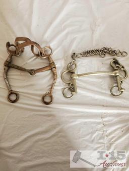 Bridle, Bits, Rawhide Nose Band, Dental Tool and a Donal Horse Perfecter