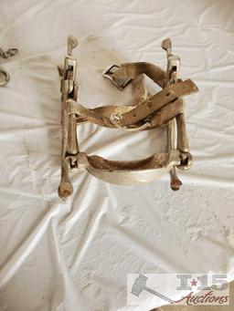 Bridle, Bits, Rawhide Nose Band, Dental Tool and a Donal Horse Perfecter
