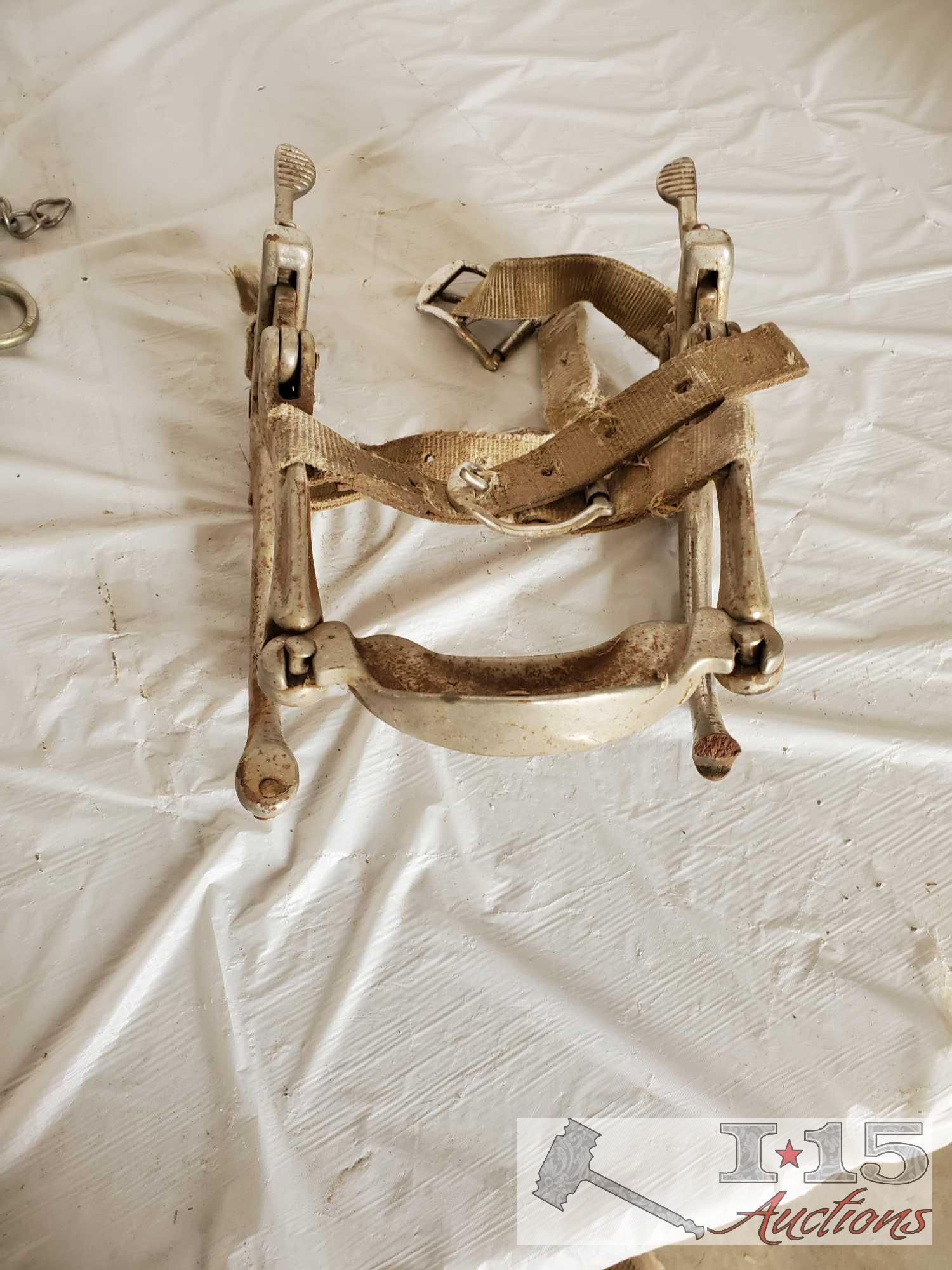 Bridle, Bits, Rawhide Nose Band, Dental Tool and a Donal Horse Perfecter