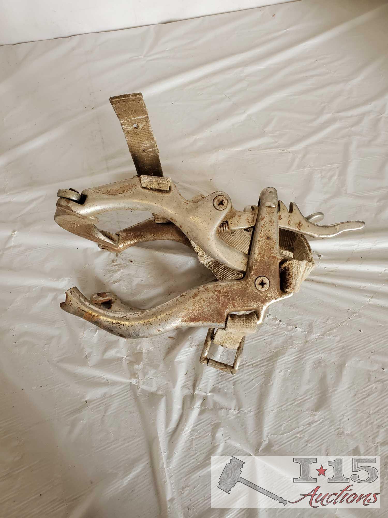 Bridle, Bits, Rawhide Nose Band, Dental Tool and a Donal Horse Perfecter